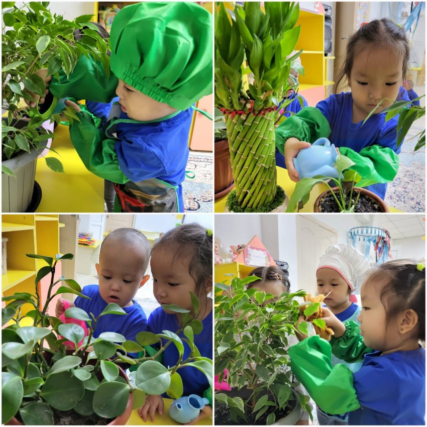 "Табиғатты аялайық!"