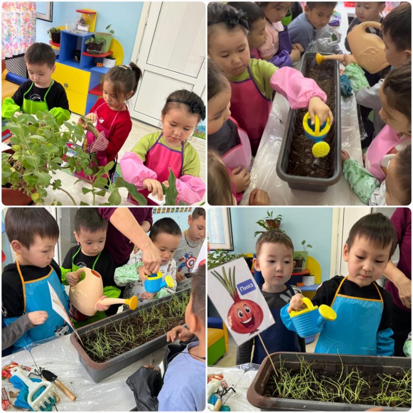 Балалар табиғатты аялауды үйренді!