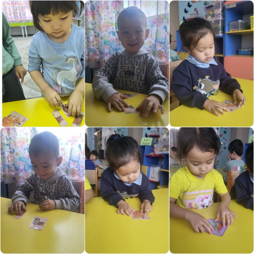 Методика "Разрезные картинки"