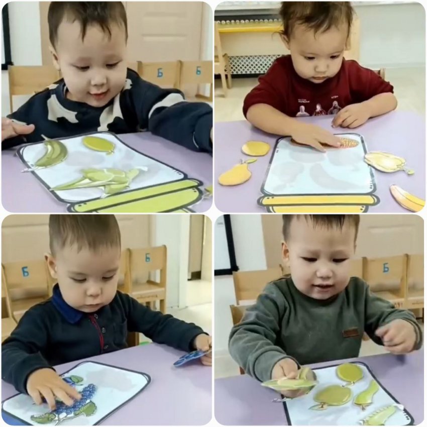 "Көкөністерді мен жемістерді топтастыру"